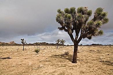 《星空》概念图曝光 制作人称其为太空版《天际》