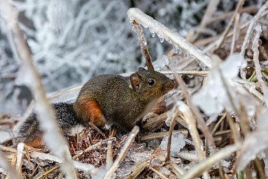 吃豆人IP魔改银河恶魔城 《暗斗迷宫》上市宣传片赏